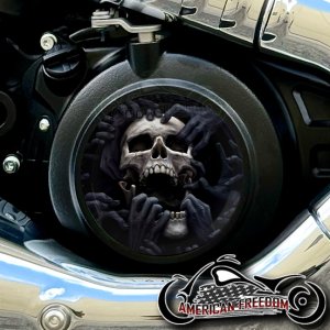 Indian 2025+ Scout Derby - Torn Apart Skull