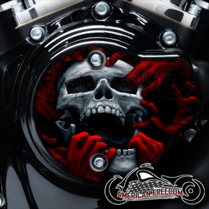 Harley Davidson VVT Cam Housing Unit - Torn Apart Skull Red