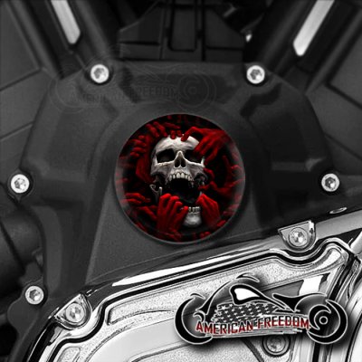 Indian Challenger Pursuit Water Pump Insert - Torn Apart Red