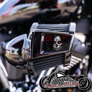 Harley 2019-2024 Heavy Breather Insert - Senorita Sugar Skull