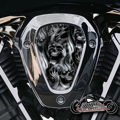 Indian Challenger Pursuit V Cover Inserts - No Evil