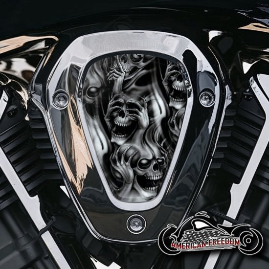 Indian Challenger Pursuit V Cover Inserts - No Evil