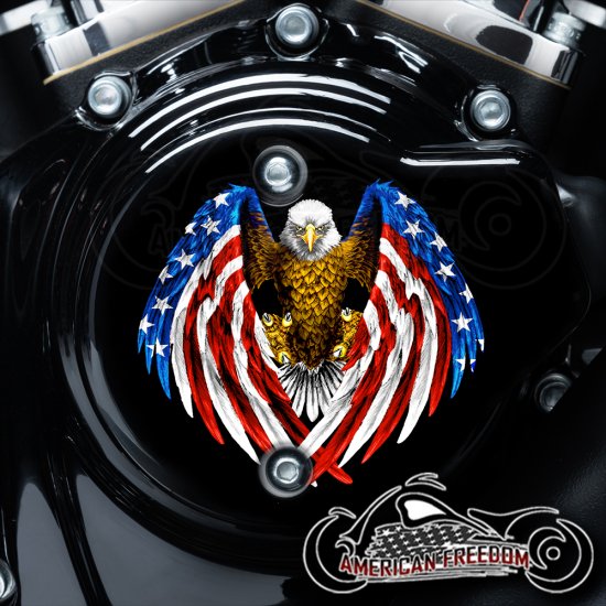Harley Davidson VVT Cam Housing Unit - Striking Patriotic Eagle
