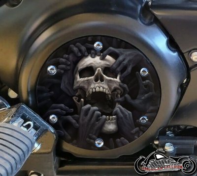 SUZUKI M109R Derby/Engine Cover - Torn Apart Skull