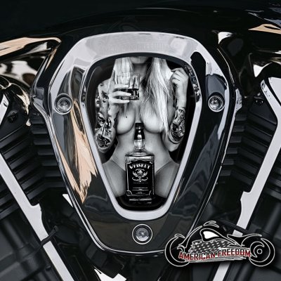 Indian Challenger Pursuit V Cover Inserts - Whiskey Gal