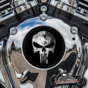 Indian Thunder Stroke Cam Insert - Tribal Punisher