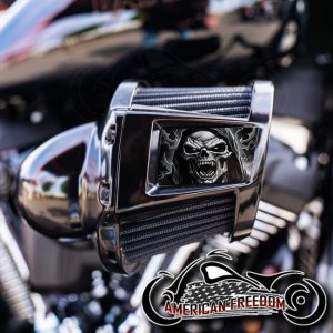 Harley 2019-2024 Heavy Breather Insert - Vampire Reaper BW