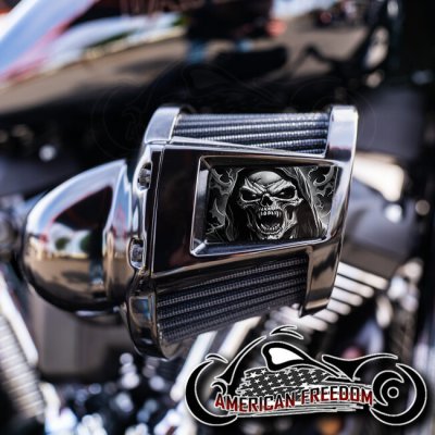 Harley 2019-2024 Heavy Breather Insert - Vampire Reaper BW
