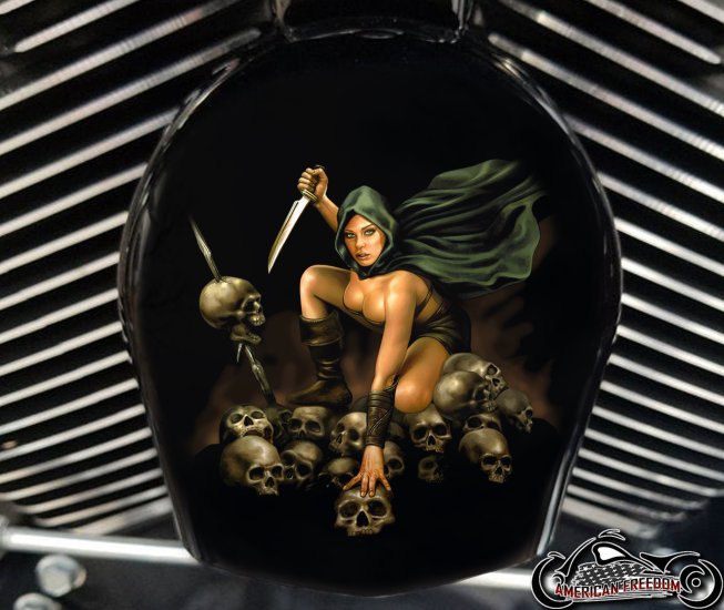 Custom Horn Cover - Girl with Dagger