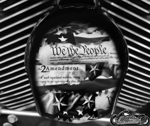 Custom Horn Cover - We the People Black and white