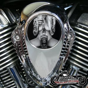 Indian Thunder Stroke Horn Insert - Whiskey Pin Up