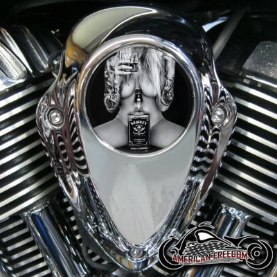 Indian Thunder Stroke Horn Insert - Whiskey Pin Up