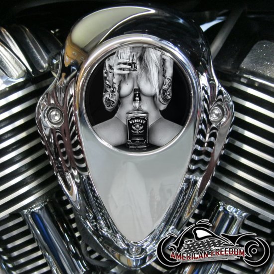 Indian Thunder Stroke Horn Insert - Whiskey Pin Up