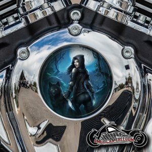 Indian Thunder Stroke Cam Insert - Wild Wolf Girl