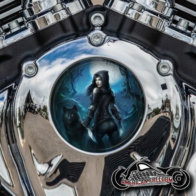 Indian Thunder Stroke Cam Insert - Wild Wolf Girl