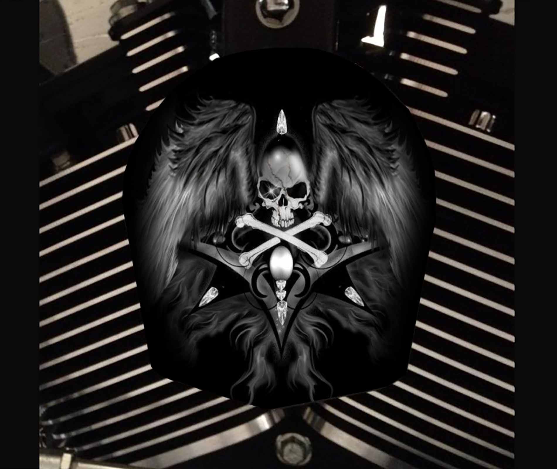 Custom Horn Cover - Skull With Wings