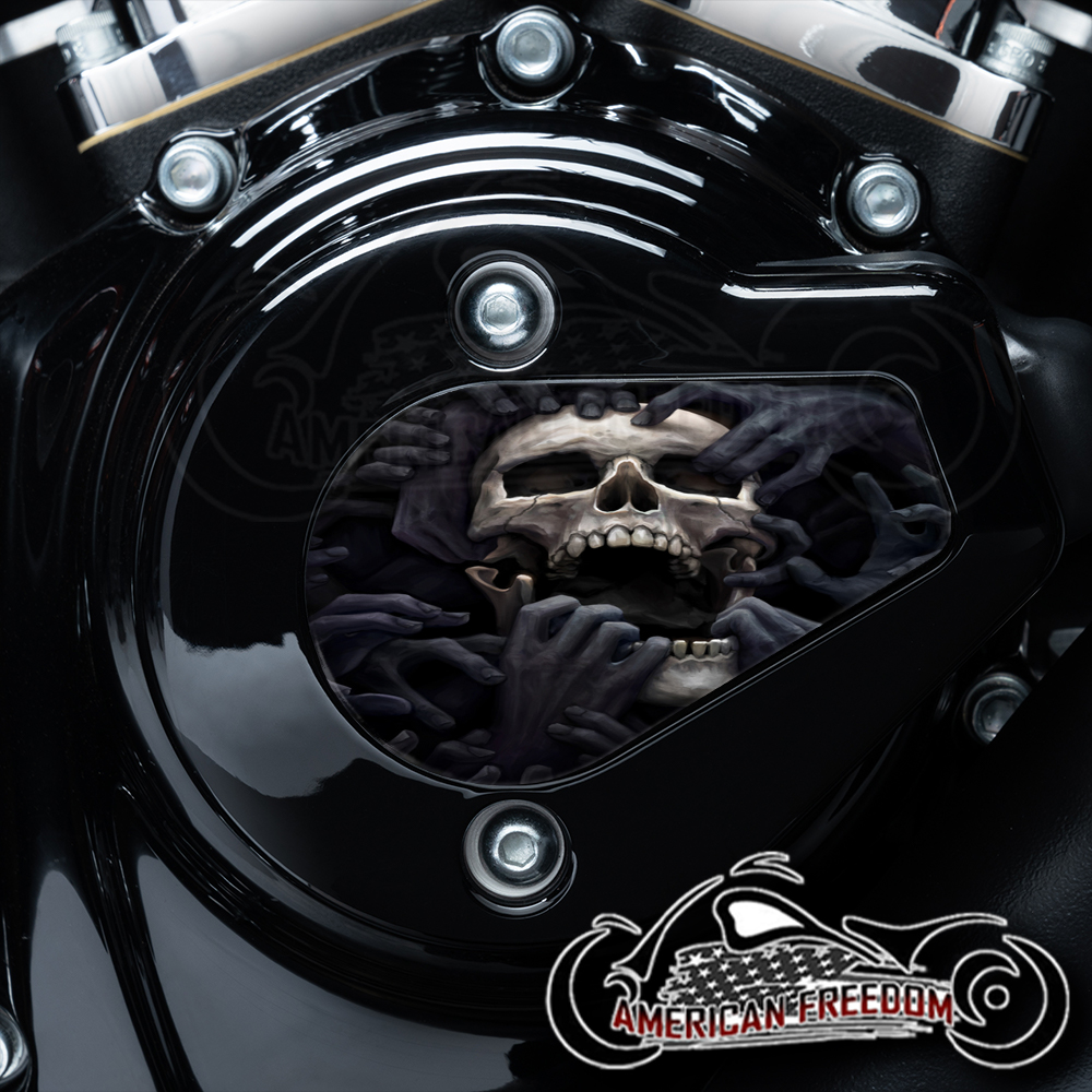 Skulls - Harley Davidson VVT Timing Medallion Insert