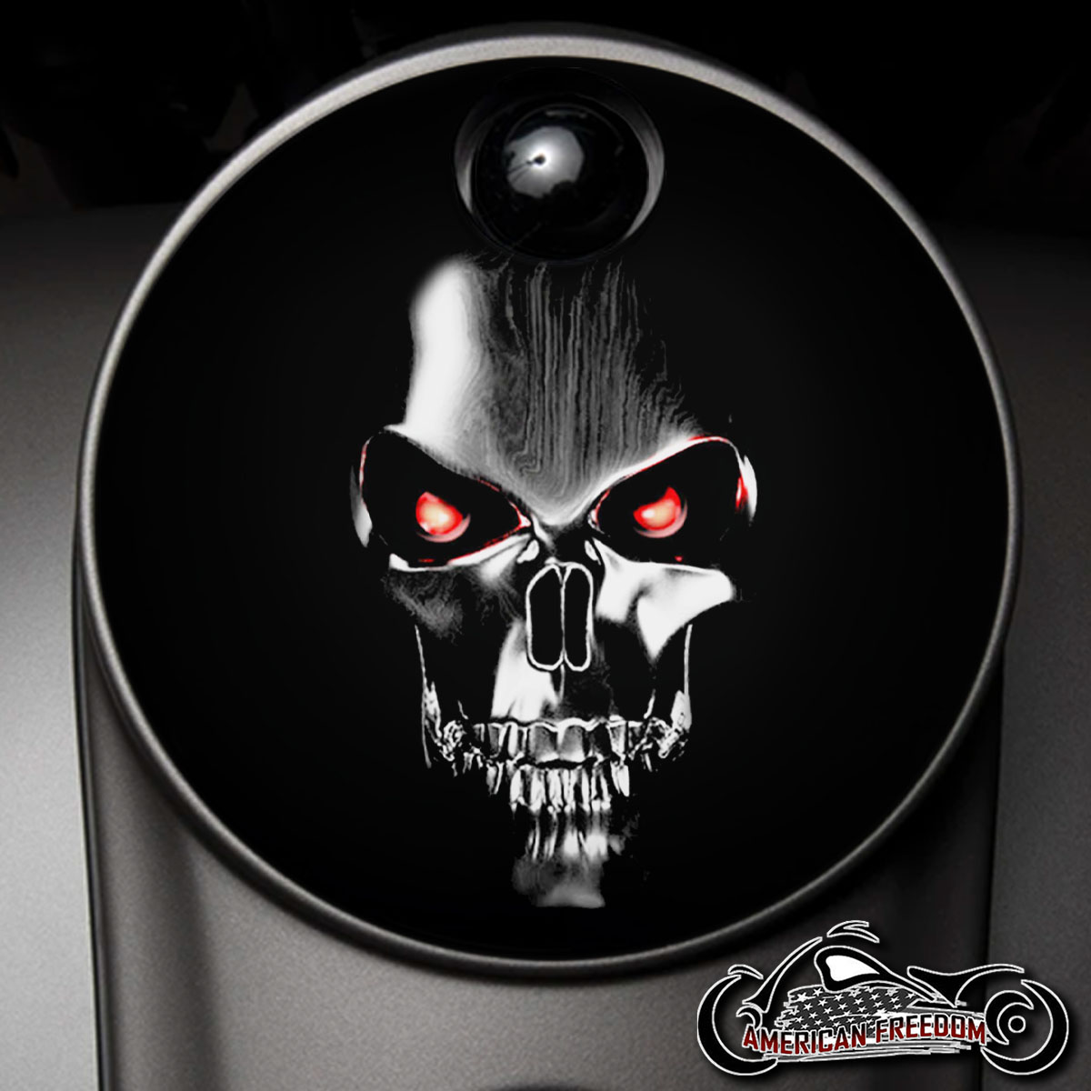 Custom Fuel Door - Terminator - Click Image to Close