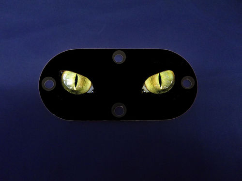 Custom Oval Inspection Cover - Black Cat Eyes - Click Image to Close