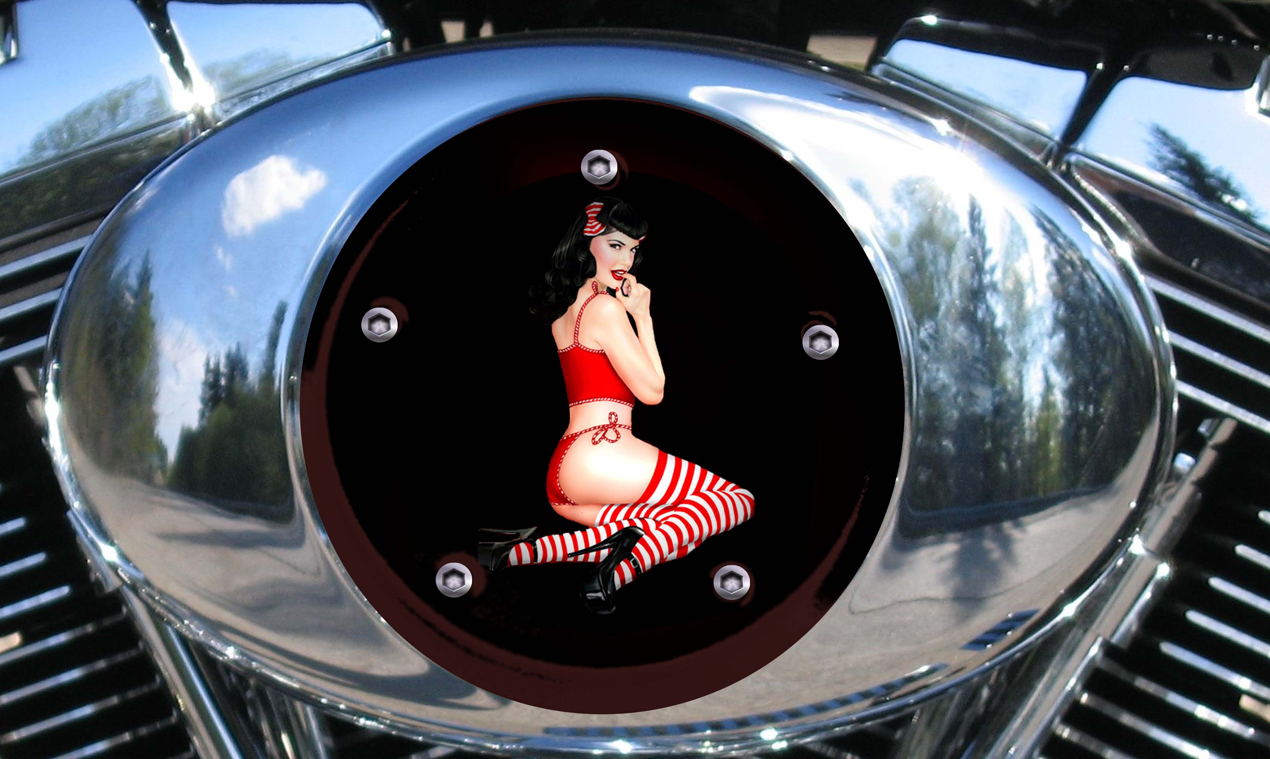 Custom Air Cleaner Cover - Pin Up Stripe